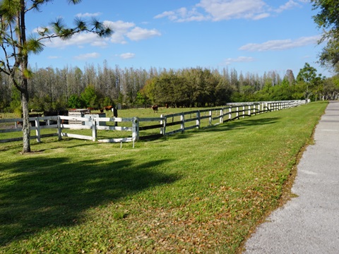 Florida Bike Trails, Starkey Blvd. Trail, Florida Coast to Coast Trail