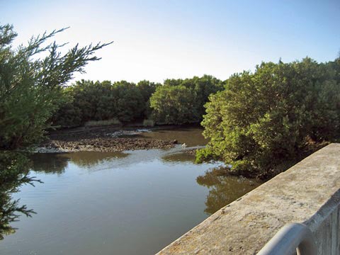 Florida Bike Trails, Cedar Key, Rte 24 Causeway