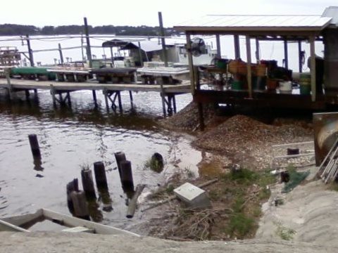 Florida Bike Trails, Cedar Key, Rte 24 Causeway