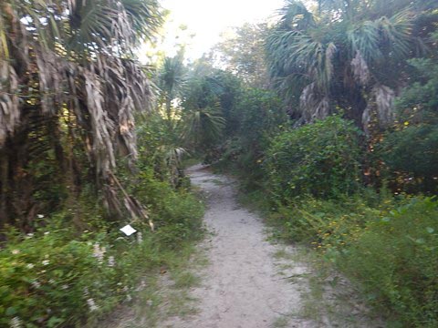 Florida Bike Trails, Cedar Key, Historic Trestle Trail