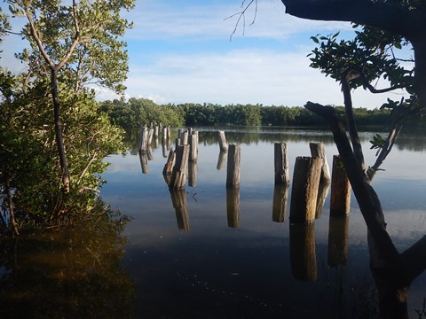 Florida Bike Trails, Cedar Key, Historic Trestle Trail