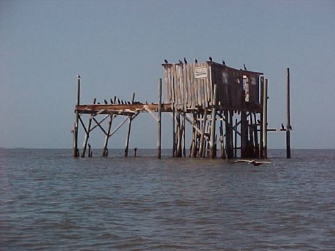 Florida Bike Trails, Cedar Key, Historic Trestle Trail