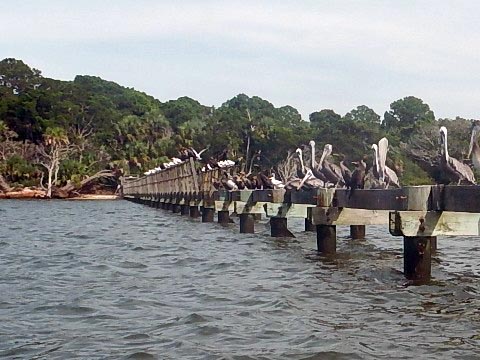 Florida Bike Trails, Cedar Key, Historic Trestle Trail