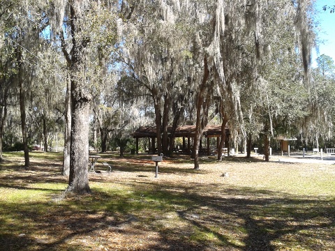 Aldermans Ford Conservation Park, Alafia River