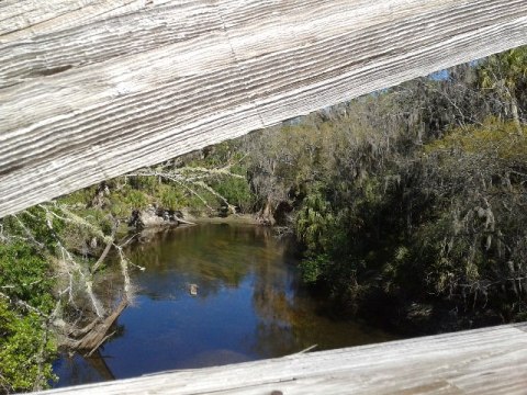 Florida Bike Trails, Alderman's Ford Park Trail