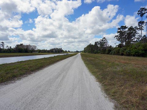 Florida Bike Trails, Woodpecker Trail, Big Shoals State Park