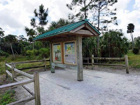 Florida Bike Trails, Woodpecker Trail, Big Shoals State Park