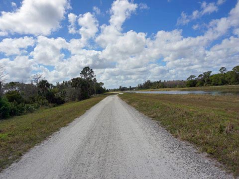 Florida Bike Trails, Woodpecker Trail, Big Shoals State Park