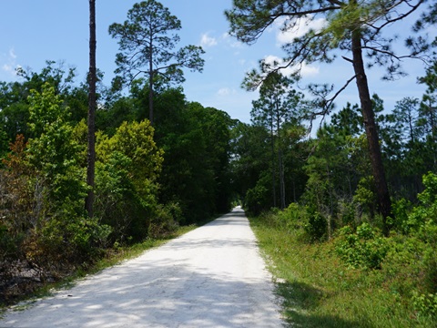 Chassahowitzka Wildlife Management Area, eco-biking