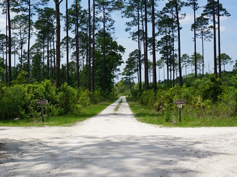 Chassahowitzka Wildlife Management Area, eco-biking