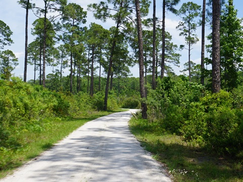 Chassahowitzka Wildlife Management Area, eco-biking