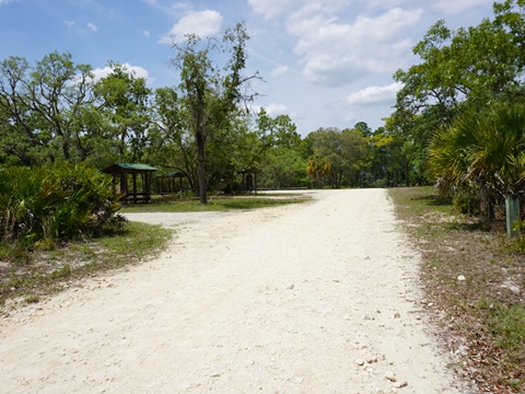 Chassahowitzka Wildlife Management Area, eco-biking