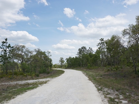 Chassahowitzka Wildlife Management Area, eco-biking