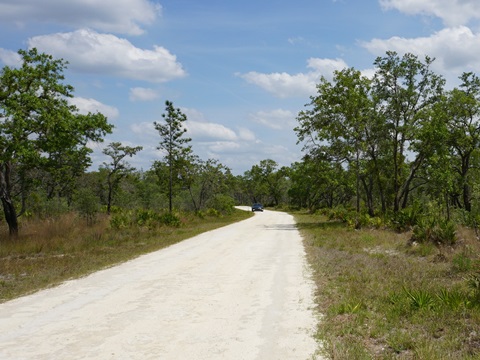 Chassahowitzka Wildlife Management Area, eco-biking