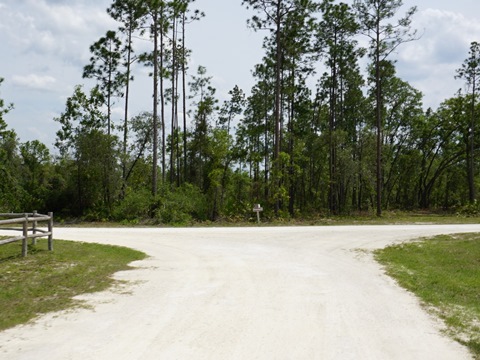 Chassahowitzka Wildlife Management Area, eco-biking