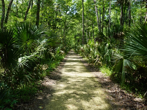 Chassahowitzka Wildlife Management Area, eco-biking