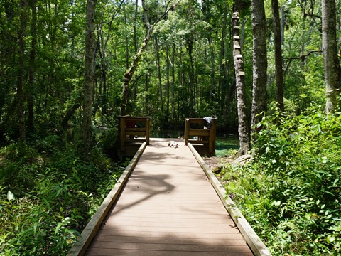 Chassahowitzka Wildlife Management Area, eco-biking