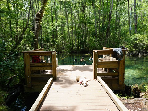 Chassahowitzka Wildlife Management Area, eco-biking