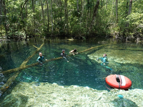 Chassahowitzka Wildlife Management Area, eco-biking