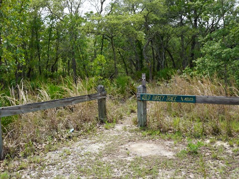 Chassahowitzka Wildlife Management Area, eco-biking