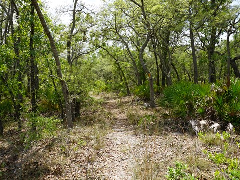 Chassahowitzka Wildlife Management Area, eco-biking