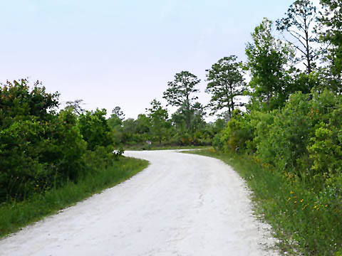 Chassahowitzka Wildlife Management Area, eco-biking