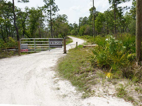 Chassahowitzka Wildlife Management Area, eco-biking