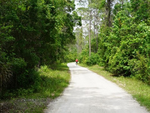 Chassahowitzka Wildlife Management Area, eco-biking