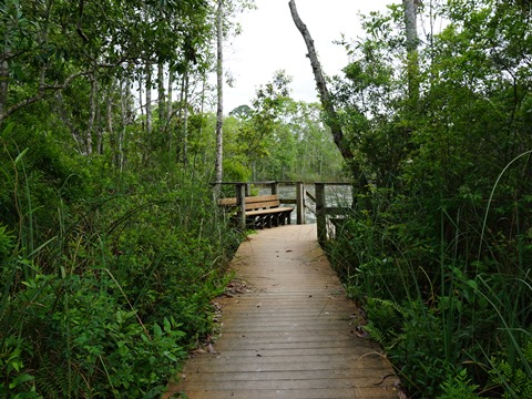 Chassahowitzka Wildlife Management Area, eco-biking