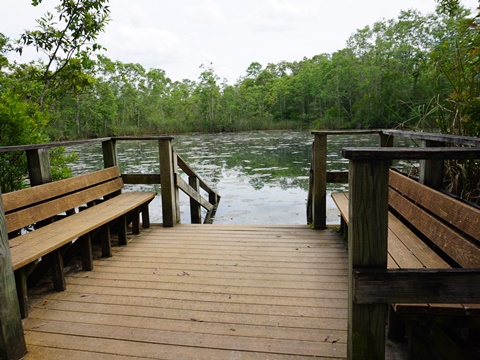 Chassahowitzka Wildlife Management Area, eco-biking