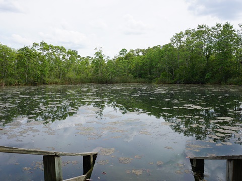 Chassahowitzka Wildlife Management Area, eco-biking