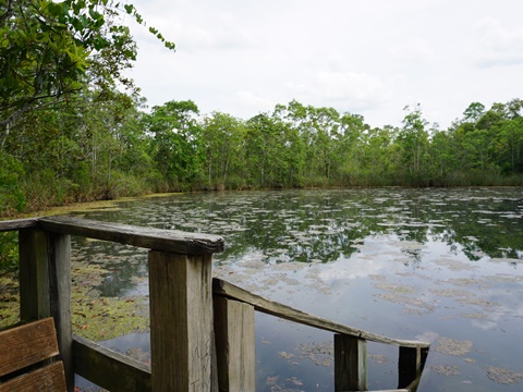 Chassahowitzka Wildlife Management Area, eco-biking