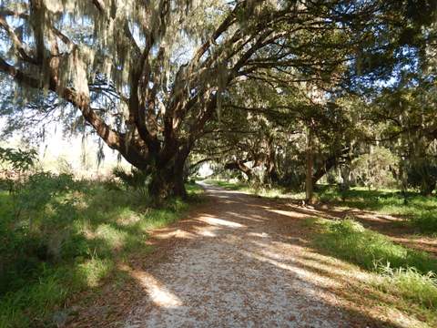 Circle B Bar Reserve, Florida eco-biking