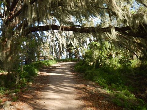 Circle B Bar Reserve, Florida eco-biking