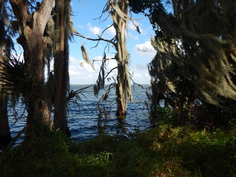 Circle B Bar Reserve, Florida eco-biking