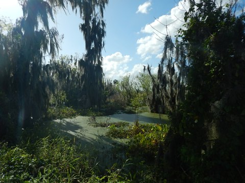 Circle B Bar Reserve, Florida eco-biking