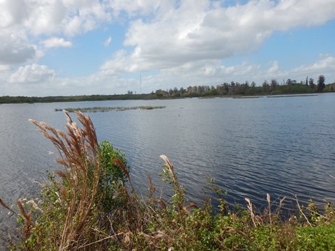 Circle B Bar Reserve, Florida eco-biking