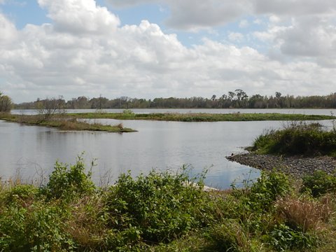 Circle B Bar Reserve, Florida eco-biking