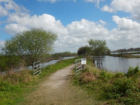 Circle B Bar Reserve, Florida eco-biking