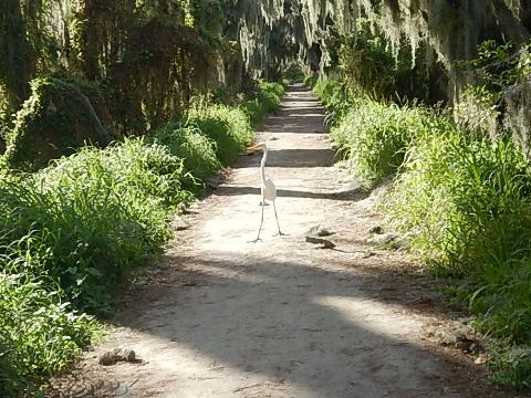 Circle B Bar Reserve, Florida eco-biking