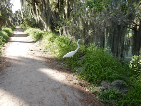 Circle B Bar Reserve, Florida eco-biking