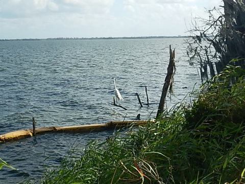 Circle B Bar Reserve, Florida eco-biking