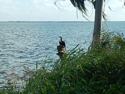 Circle B Bar Reserve, Florida eco-biking