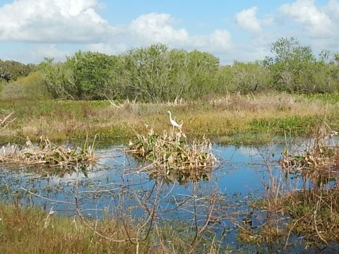 Circle B Bar Reserve, Florida eco-biking