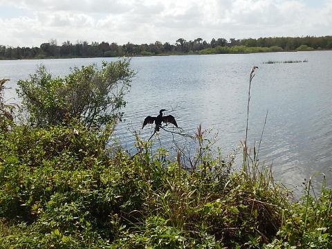 Circle B Bar Reserve, Florida eco-biking