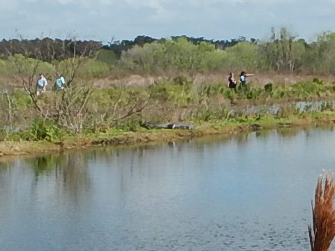 Circle B Bar Reserve, Florida eco-biking