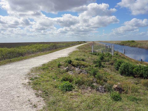 Everglades, Conservation Levee Greenway