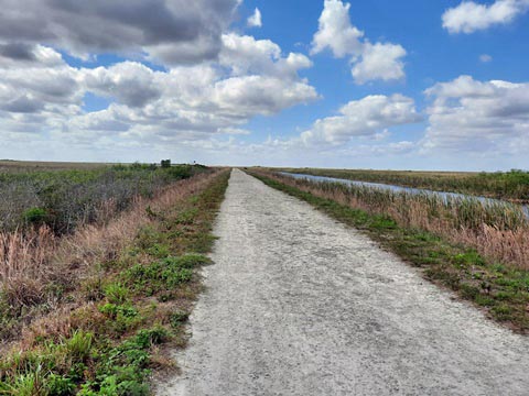 Everglades, Conservation Levee Greenway