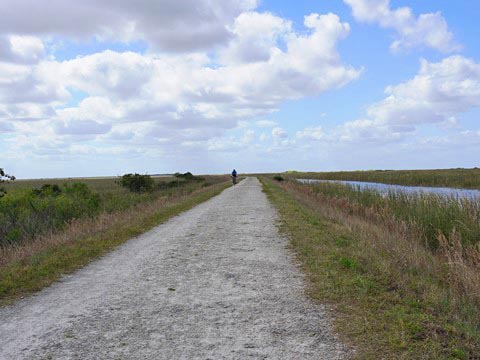 Everglades, Conservation Levee Greenway