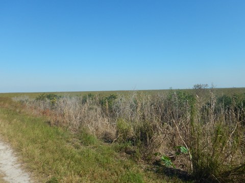 Everglades, Conservation Levee Greenway